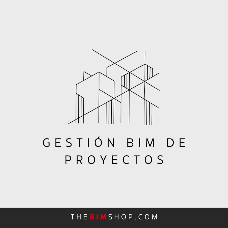 Gestión BIM de Proyectos Acompañamiento completo en proyectos reales Incluye: Coordinación BIM entre disciplinas Supervisión de modelos Detección de interferencias (clash detection) Reuniones de seguimiento